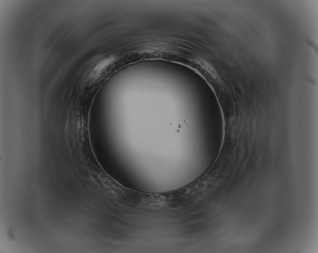 X0000093481111200710121440