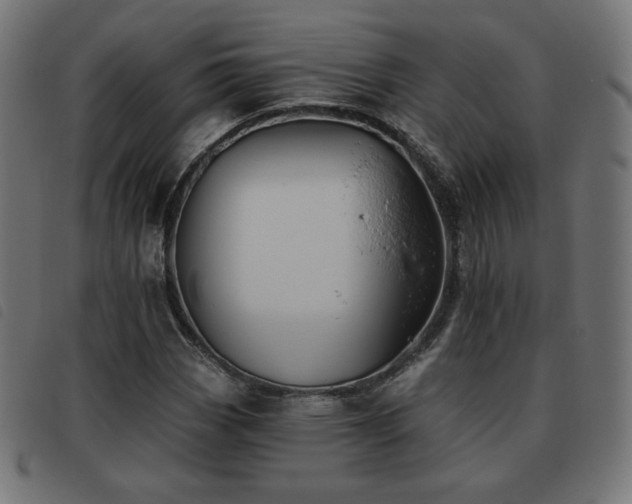 X0000093481113200710121440