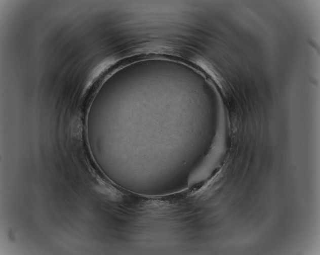 X0000093481115200710121440