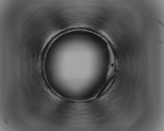 X0000093481116200710121440