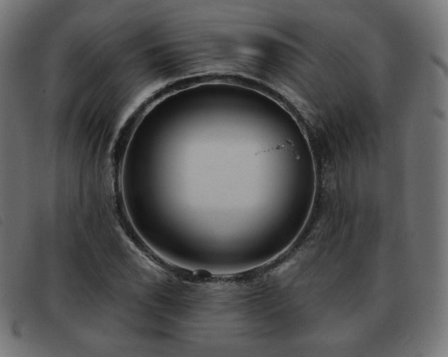 X0000093481118200710121440