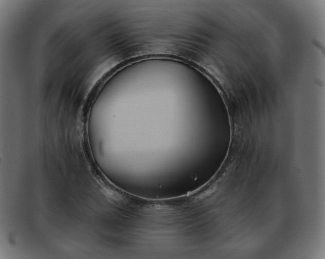 X0000093481119200710121440