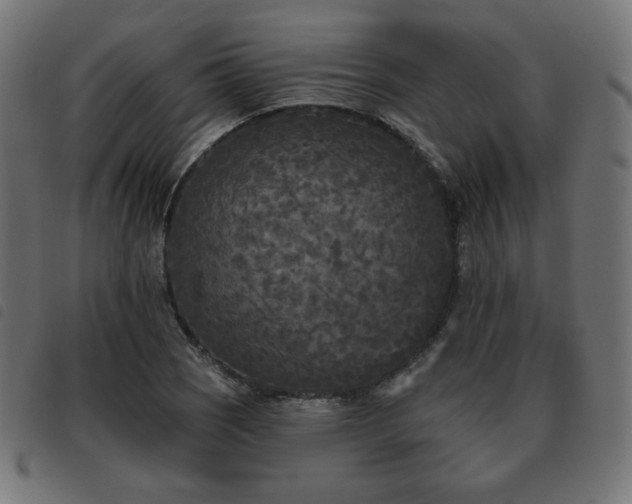 X0000093481121200710121440