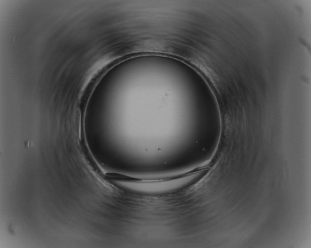 X0000093481123200710121440