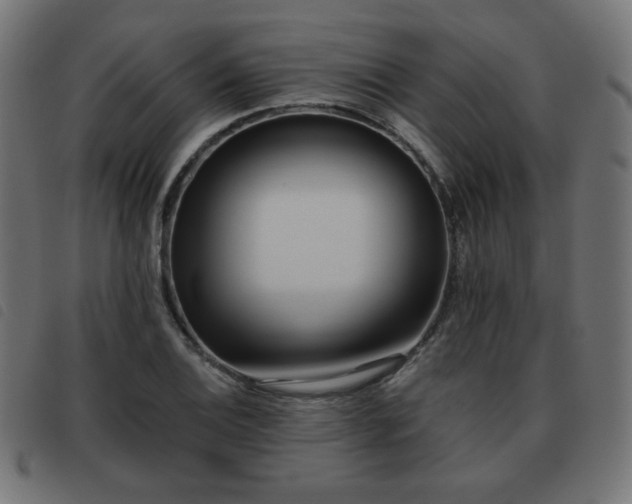 X0000093481124200710121440