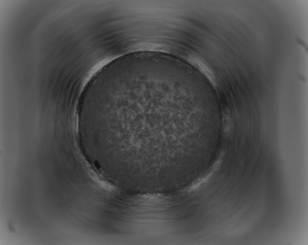 X0000093481125200710121440