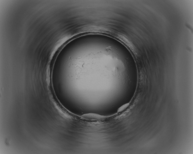 X0000093481128200710121440