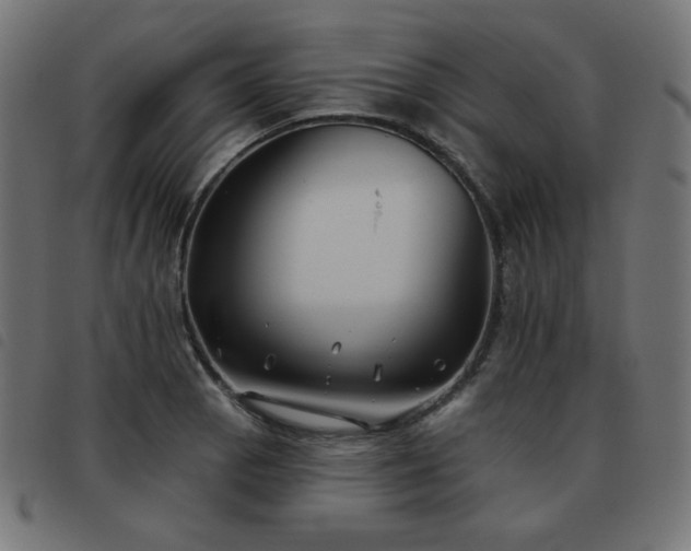 X0000093481129200710121440