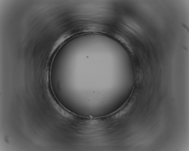 X0000093481130200710121440