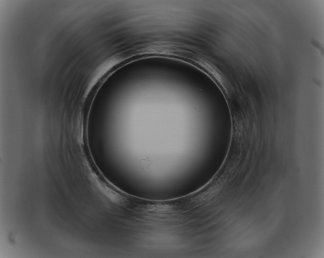 X0000093481131200710121440