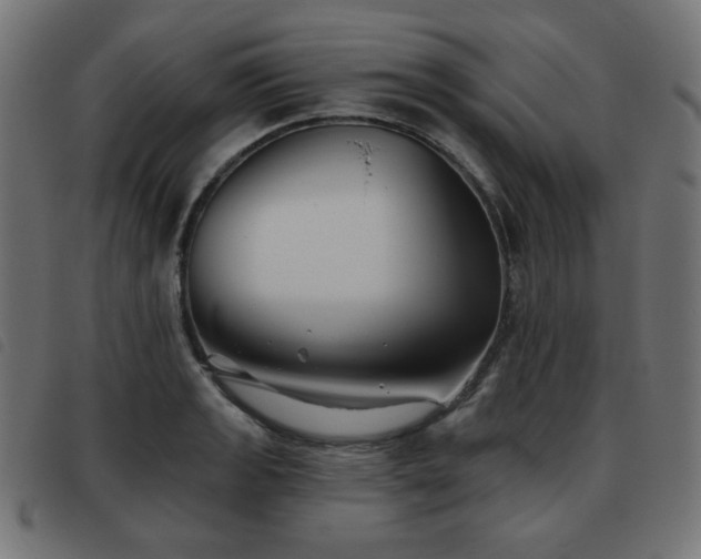 X0000093481133200710121440