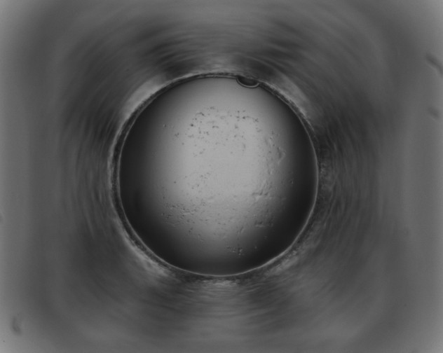 X0000093481135200710121440