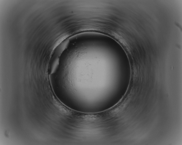 X0000093481137200710121440