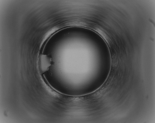X0000093481139200710121440