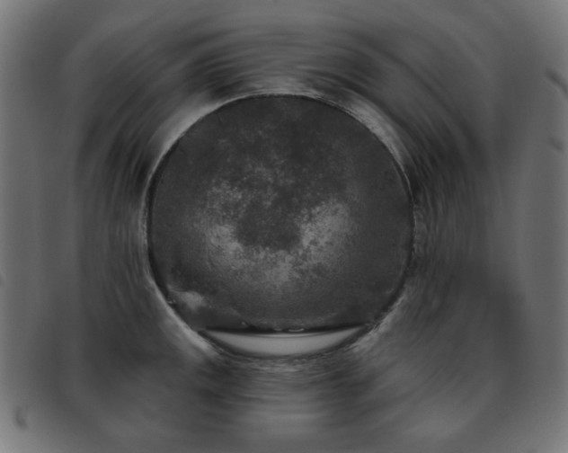 X0000093481141200710121440