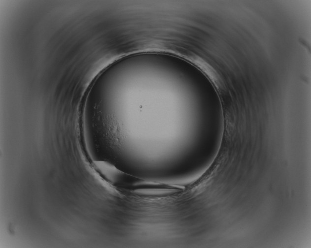 X0000093481142200710121440
