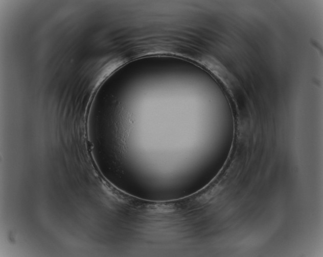 X0000093481145200710121440