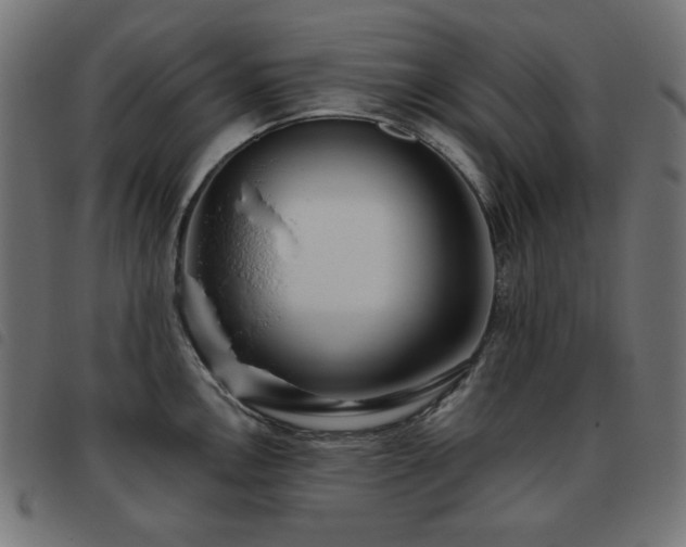 X0000093481146200710121440