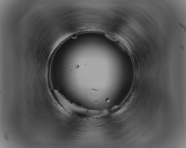 X0000093481149200710121440