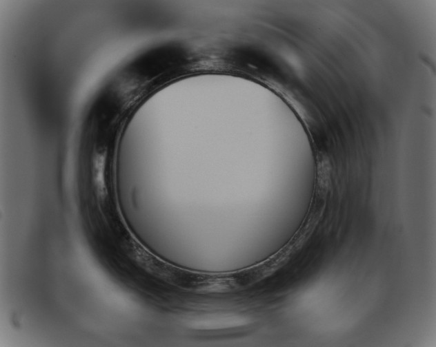 X0000093481150200710121440