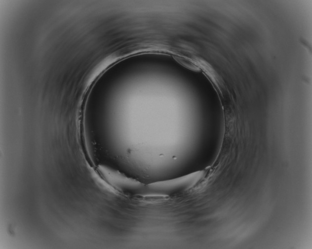 X0000093481151200710121440