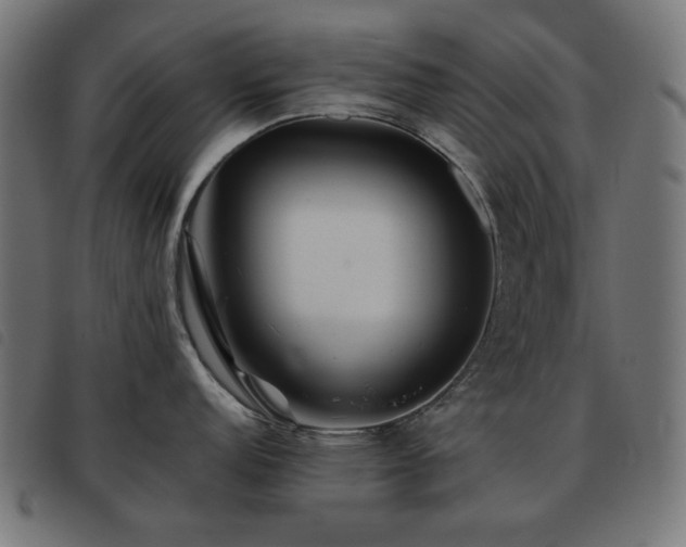 X0000093481152200710121440