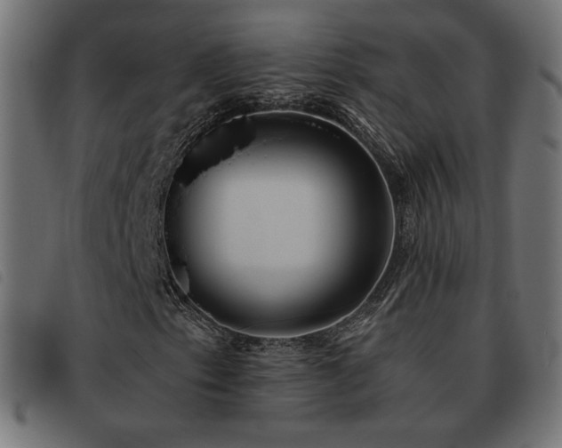 X0000093481153200710121440