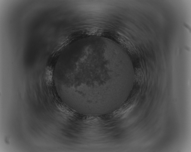 X0000093481154200710121439