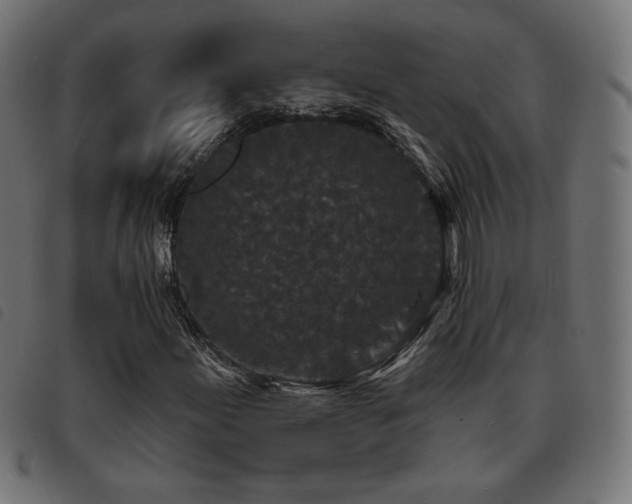 X0000093481155200710121439