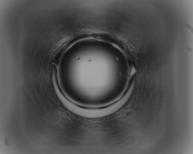 X0000093481157200710121439