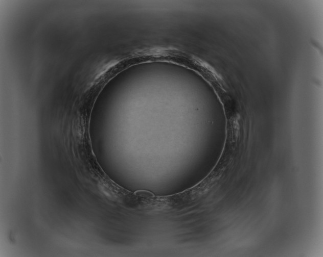 X0000093481158200710121439