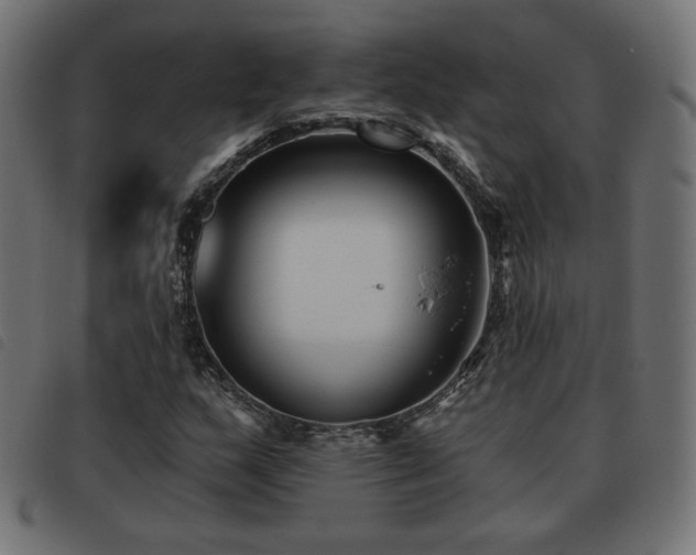X0000093481159200710121439