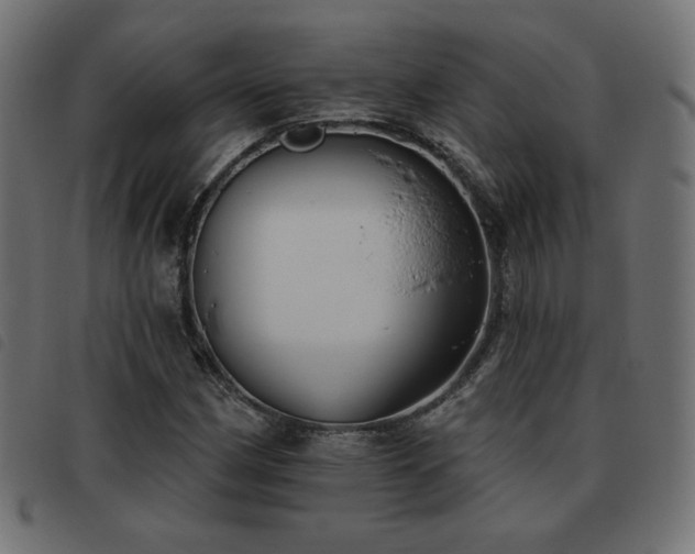 X0000093481162200710121439