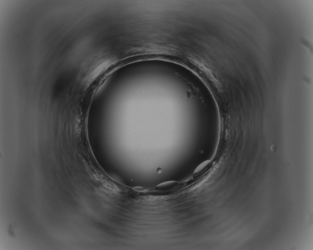 X0000093481163200710121439
