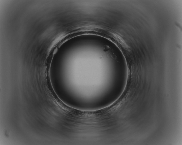 X0000093481164200710121439