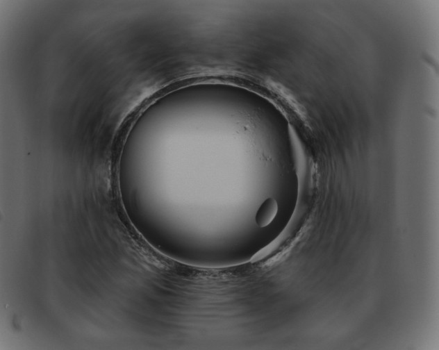 X0000093481165200710121439