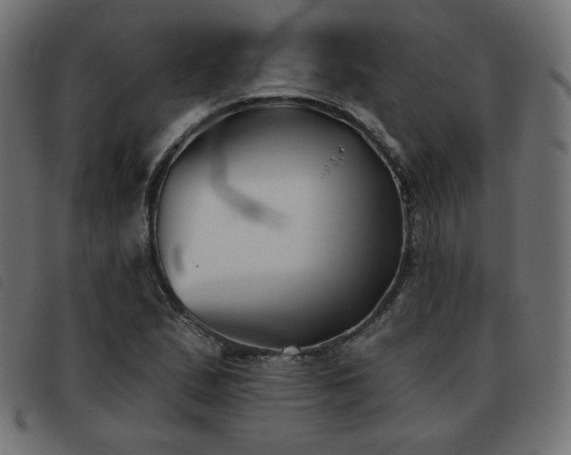X0000093481167200710121439