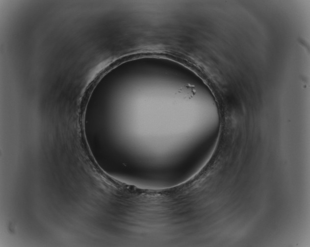 X0000093481168200710121439