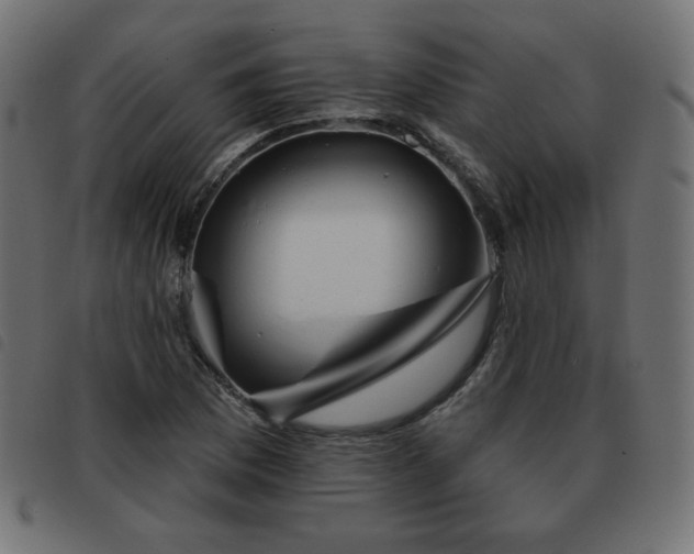 X0000093481169200710121439