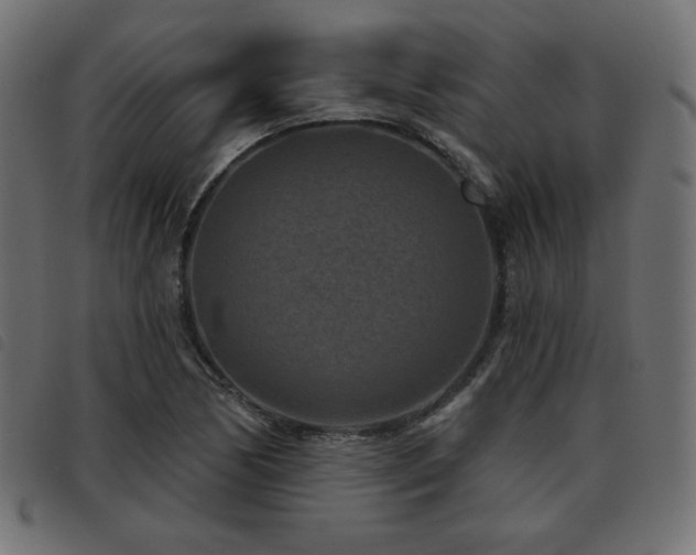 X0000093481170200710121439