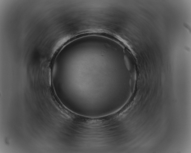 X0000093481171200710121439