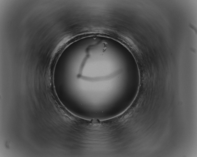 X0000093481172200710121439