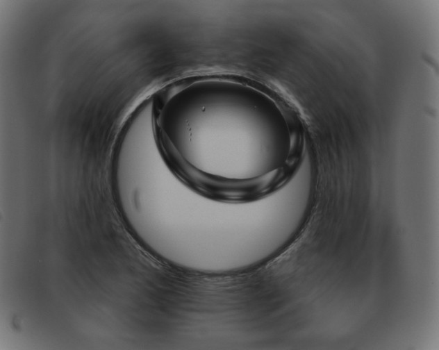 X0000093481173200710121439