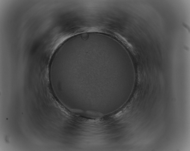 X0000093481174200710121439