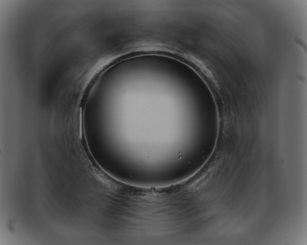 X0000093481175200710121439