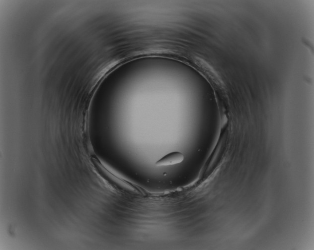 X0000093481177200710121439