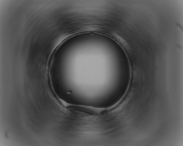 X0000093481178200710121439