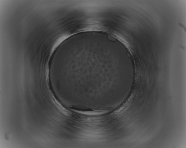 X0000093481179200710121439