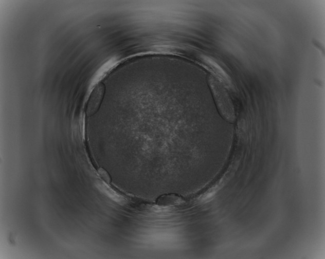 X0000093481180200710121439