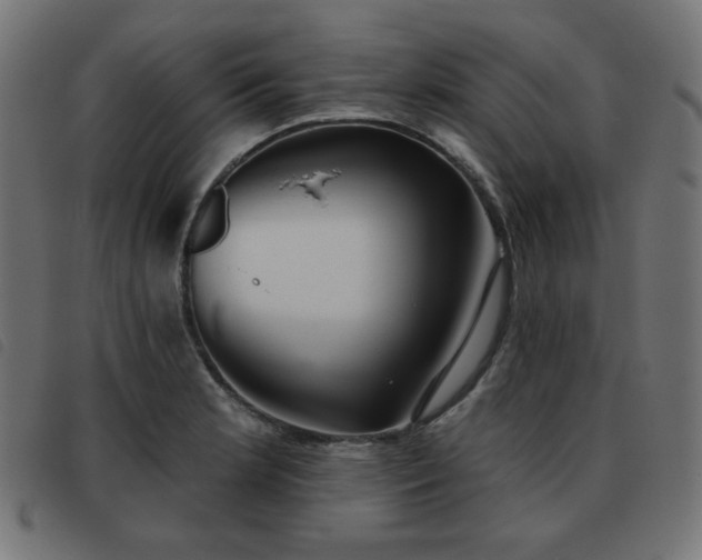 X0000093481181200710121439